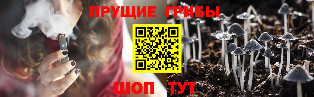 Полевской  купить   Вход с VPN  Псилоцибиновые грибы ЛСД 